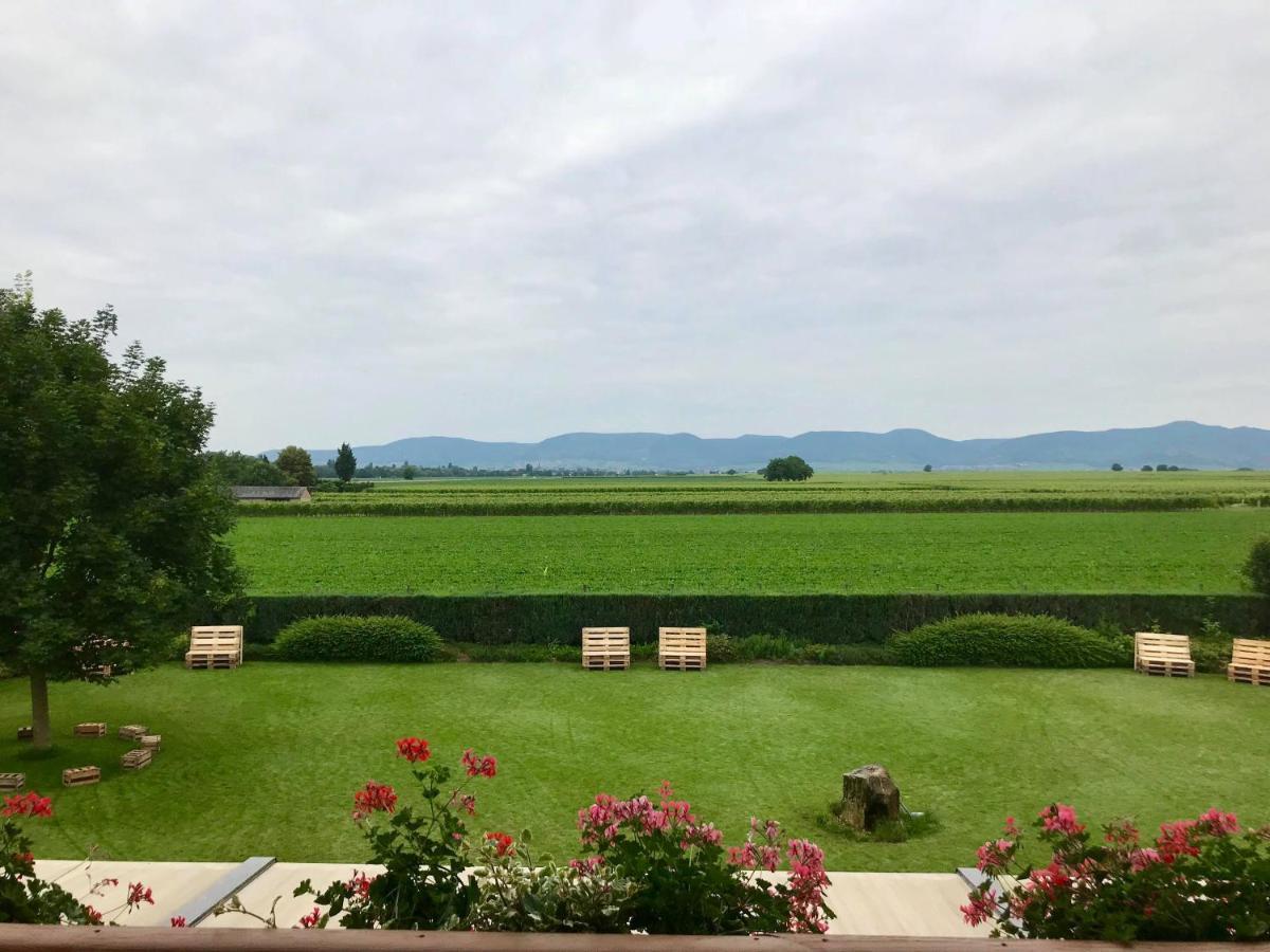 Gaestehaus Vinetum Altdorf  Kültér fotó